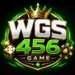 Wgs456 Game