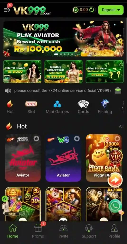 VK999 Register