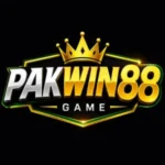 PakWin88 Game